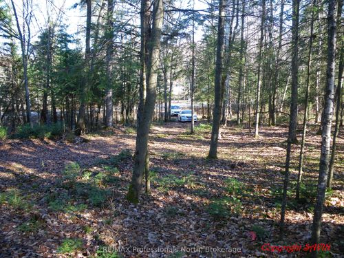 PCL 20438 & 29803 Upper Walker Lake Road, Lake of Bays, ON, P1H2J6 | Card Image