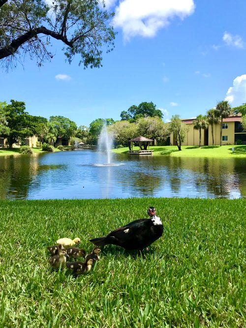 apt-201-830 Sw 9th Street Cir, Boca Raton, FL, 33486-5213 | Card Image