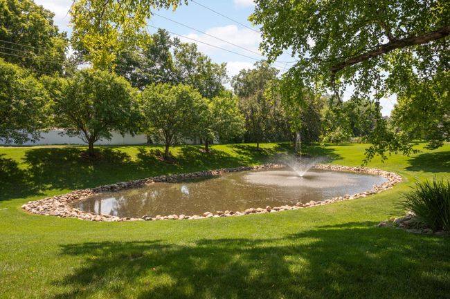 Pond view. | Image 33