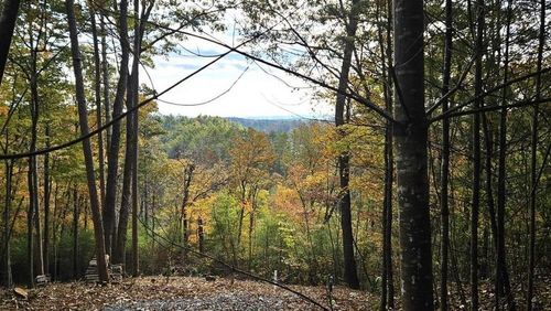 Lot 157 Roaring Forks Ln, Ellijay, GA, 30540 | Card Image