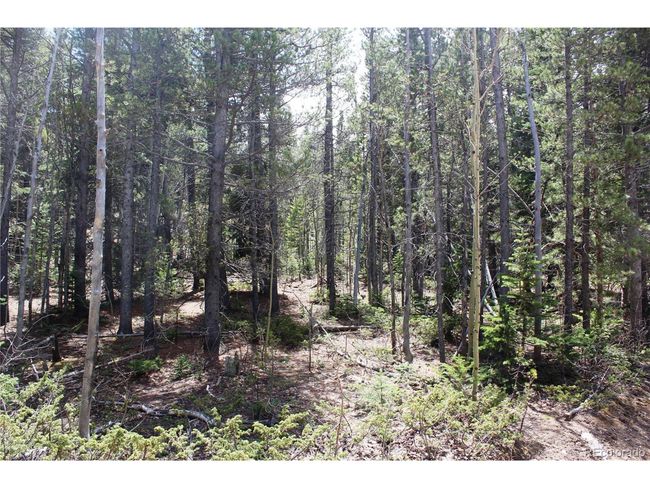 435 Aspen Rd, Home with 0 bedrooms, 0 bathrooms and null parking in Black Hawk CO | Image 13