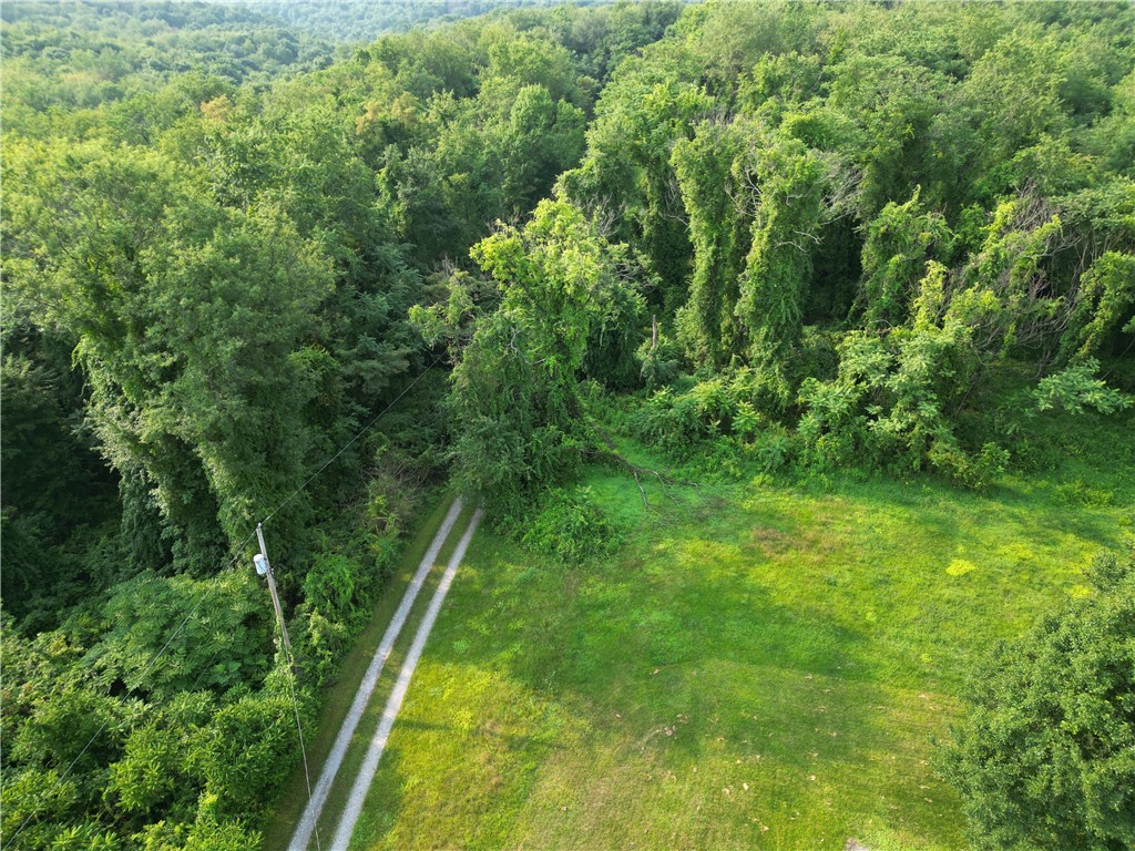 Farm in Brighton Twp 2