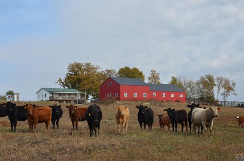 20031 S Berryton Rd, Lyndon, KS, 66451-9632 | Card Image