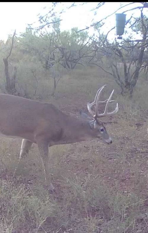 1400 Hammond Rd, Quanah, TX, 79252 | Card Image