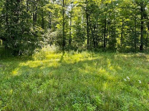 N9061 Schmidt Dr, Pickerel, WI, 54465-9775 | Card Image