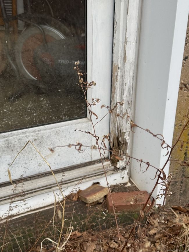threshold needs repair | Image 19