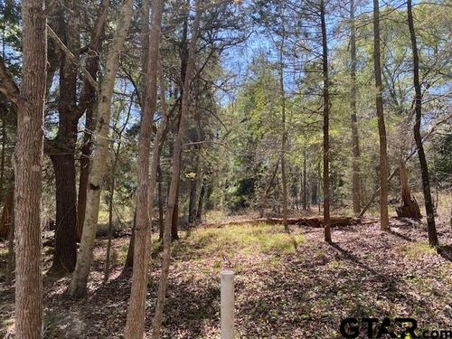 tbd Broadmeadow, Murchison, TX, 75778 | Card Image