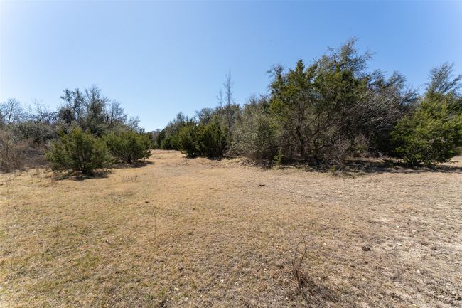 View of local wilderness | Image 31