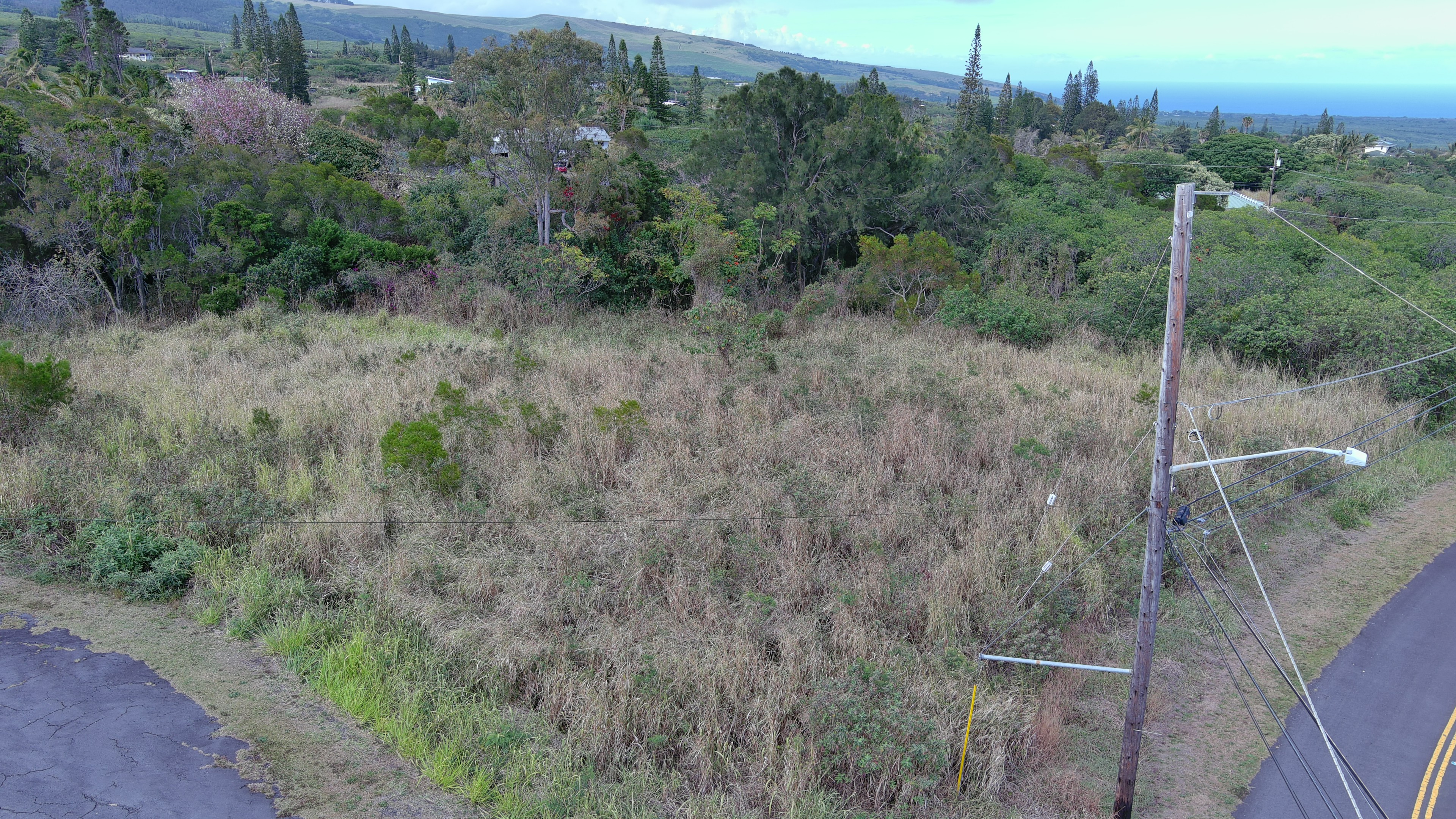 Land in Naalehu 5
