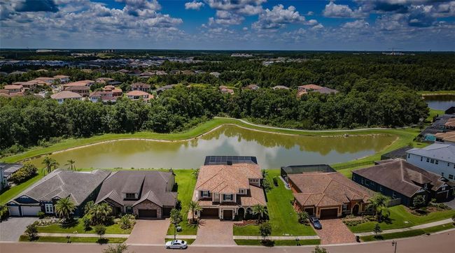 29038 Picana Ln, House other with 4 bedrooms, 4 bathrooms and null parking in WESLEY CHAPEL FL | Image 95