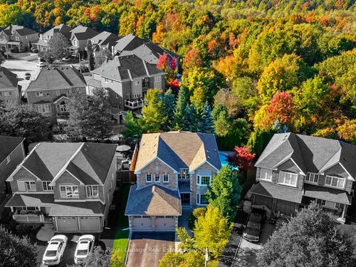 {{alt}} | Card Image