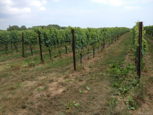 156 Youngs Ave, Calverton, NY, 11933-1428 | Card Image