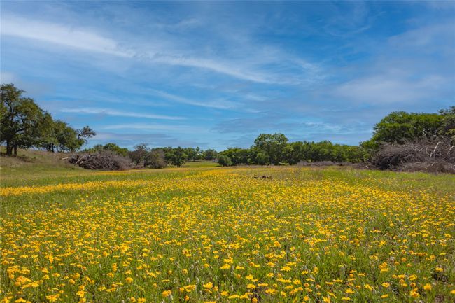 771 County Road 2130, Home with 0 bedrooms, 0 bathrooms and null parking in Meridian TX | Image 33