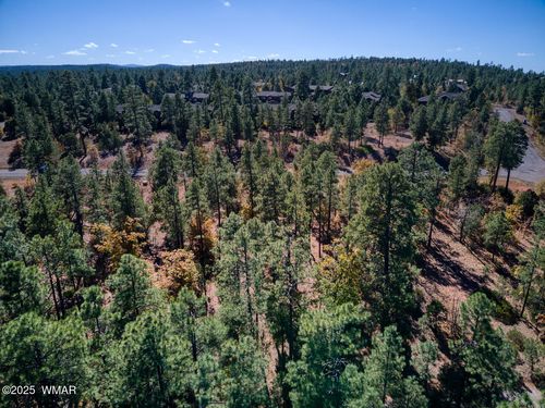 6994 Leo Ln, Lakeside, AZ, 85929 | Card Image