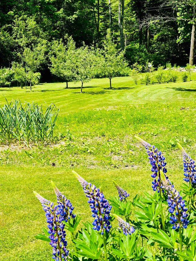 5 Cross Rd, House other with 3 bedrooms, 2 bathrooms and null parking in West Rutland VT | Image 6