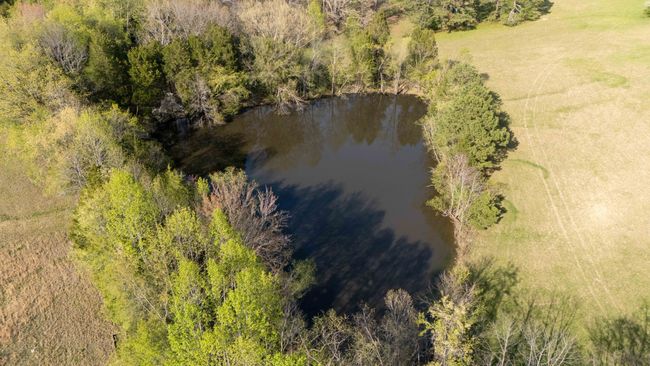 A close up of the pond. | Image 7