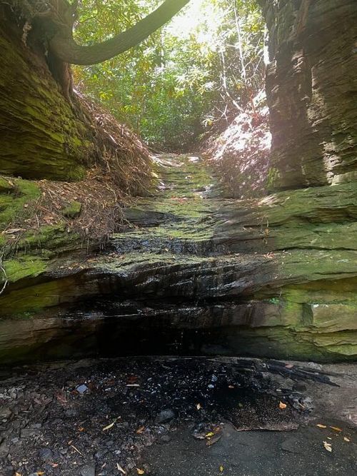 999 Wicked Oak Road, Campton, KY, 41301 | Card Image