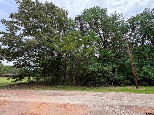 TBD Llano, Mount Vernon, TX, 75457 | Card Image