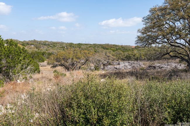 114 County Road 2721, Home with 0 bedrooms, 0 bathrooms and null parking in Mico TX | Image 8