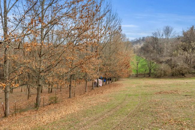 0 Fishing Ford Rd, Home with 0 bedrooms, 0 bathrooms and null parking in Belfast TN | Image 17