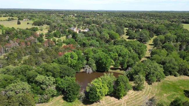 Bird's eye view with a view of trees | Image 11