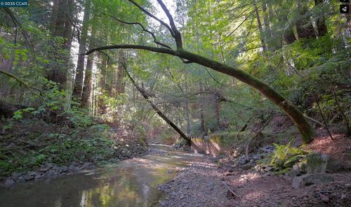 6965 Lucas Valley Rd, Nicasio, CA, 94946-9739 | Card Image