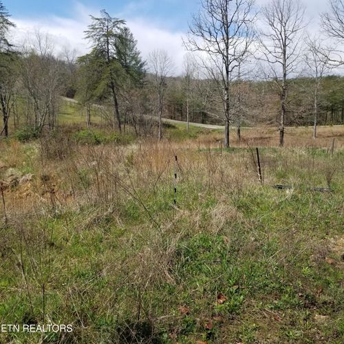 230 Abigail Trl, Deer Lodge, TN, 37726-3231 | Card Image