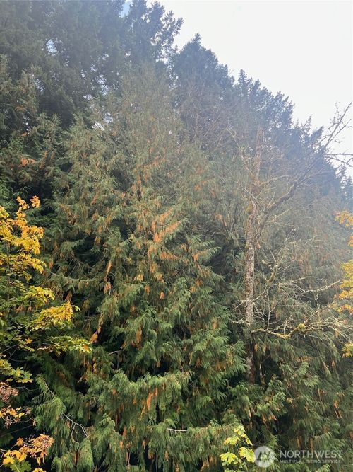 0 Us Highway 12, Randle, WA, 98377 | Card Image