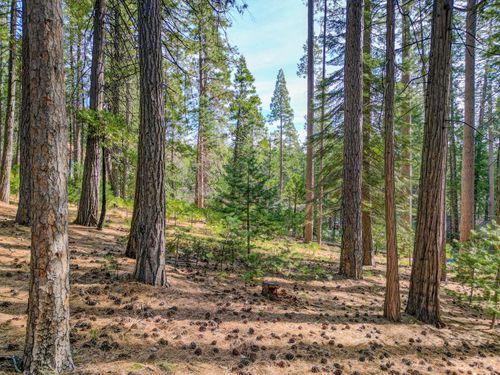 2607 Linnet Ln, Arnold, CA, 95223-7761 | Card Image