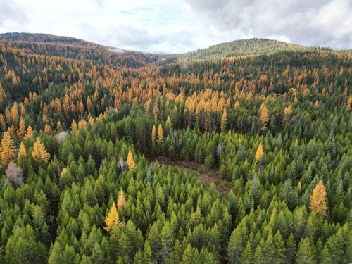 TBD Schlegel Ranch Lot 11 Rd, Ione, WA, 99139-0000 | Card Image