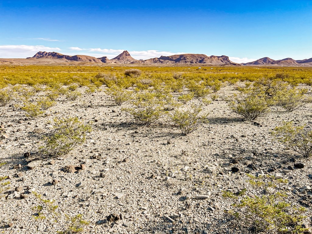 Land in Terlingua 4