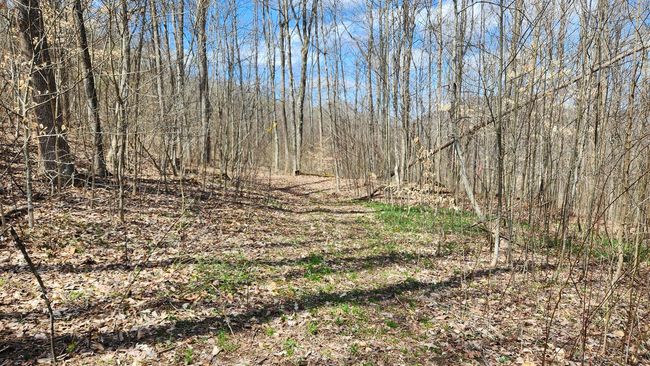 TRACT-2-PIKE-LAKE-GETAWA - 0 Pike Lake Rd, Home with 0 bedrooms, 0 bathrooms and null parking in Bainbridge OH | Image 15