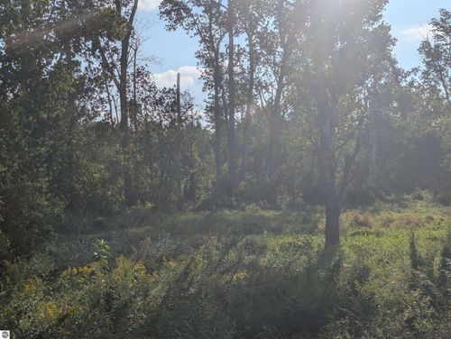 N/A Andrews Rd, Tawas City, MI, 48763 | Card Image