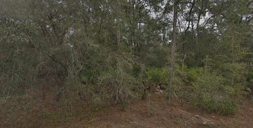 130 & 132 Bream Drive, Interlachen, FL, 32148 | Card Image