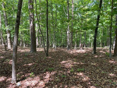 Lot2&3 Chalcrest Way, Cave Spring, GA, 30124 | Card Image