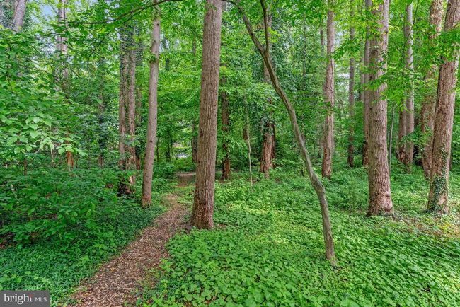 1564 Forest Villa Ln, House other with 6 bedrooms, 7 bathrooms and null parking in MCLEAN VA | Image 67