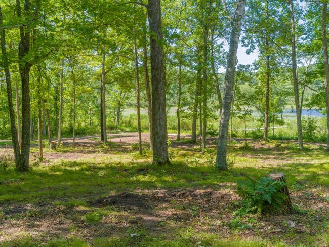 Additional building site for a 700 sq ft guest cabin with a gorgeous lake view | Image 38