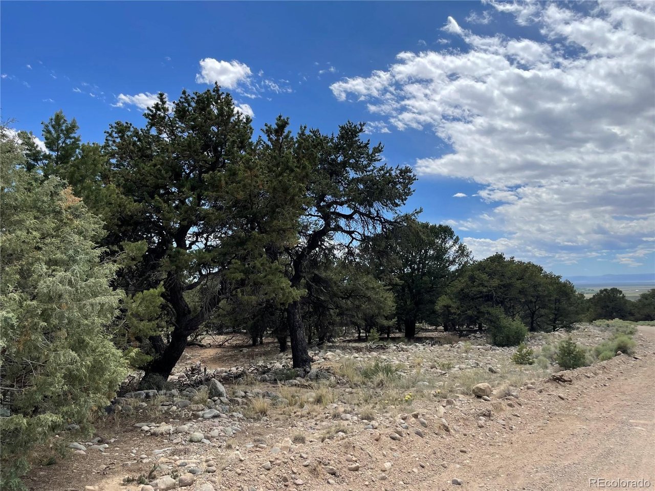 Land in Crestone 3