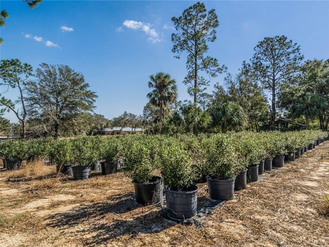 1063 Patriot Loop, House other with 4 bedrooms, 2 bathrooms and null parking in HAINES CITY FL | Image 49