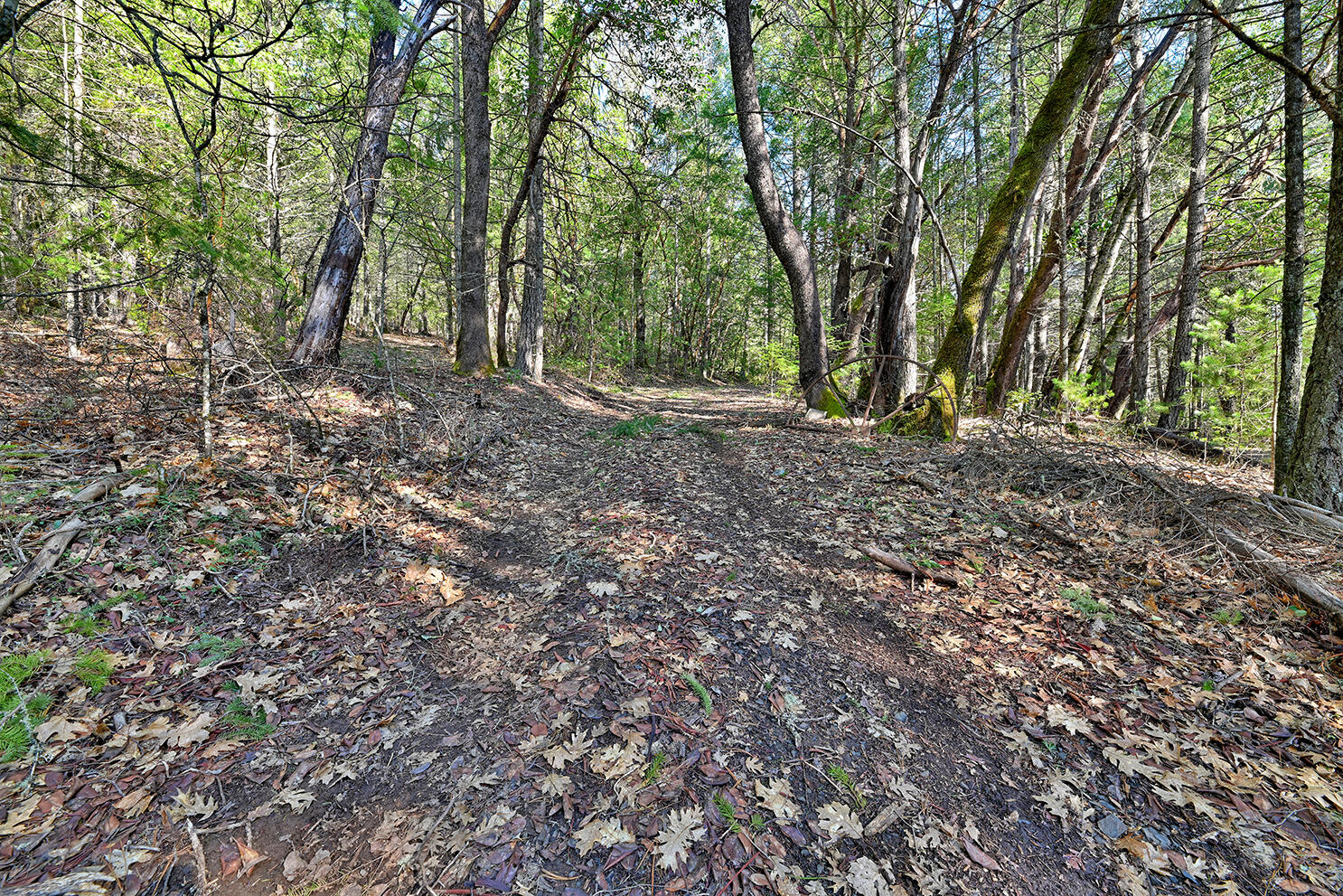 Land in Wilderville 4