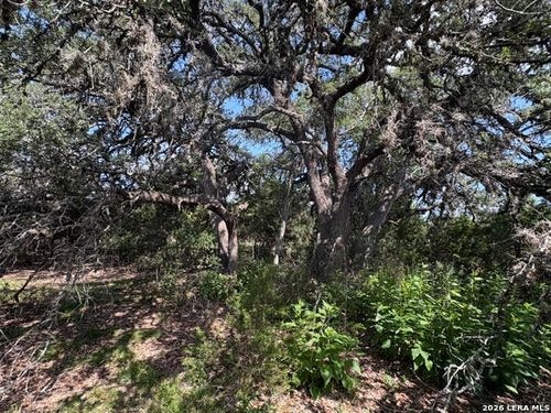 LOT 2025 Split Ridge, Spring Branch, TX, 78070 | Card Image