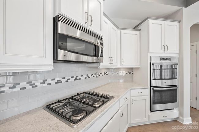 16014 Lakeside Loop Ln, House other with 2 bedrooms, 2 bathrooms and null parking in Cornelius NC | Image 8