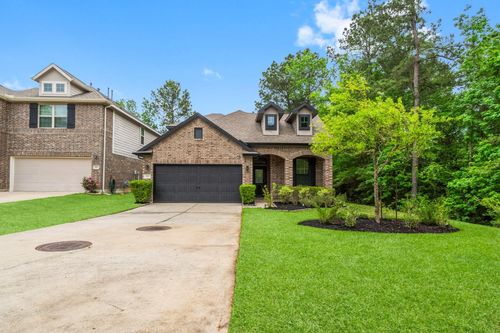 113 Logan Pass Ct, Montgomery, TX, 77316-1597 | Card Image