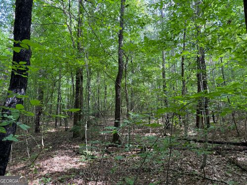 lot-2-8 ACRES E Crusselle St, Roberta, GA, 31078 | Card Image