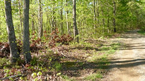 TRACT 9 Dusty Ln, Martinsville, VA, 24112 | Card Image