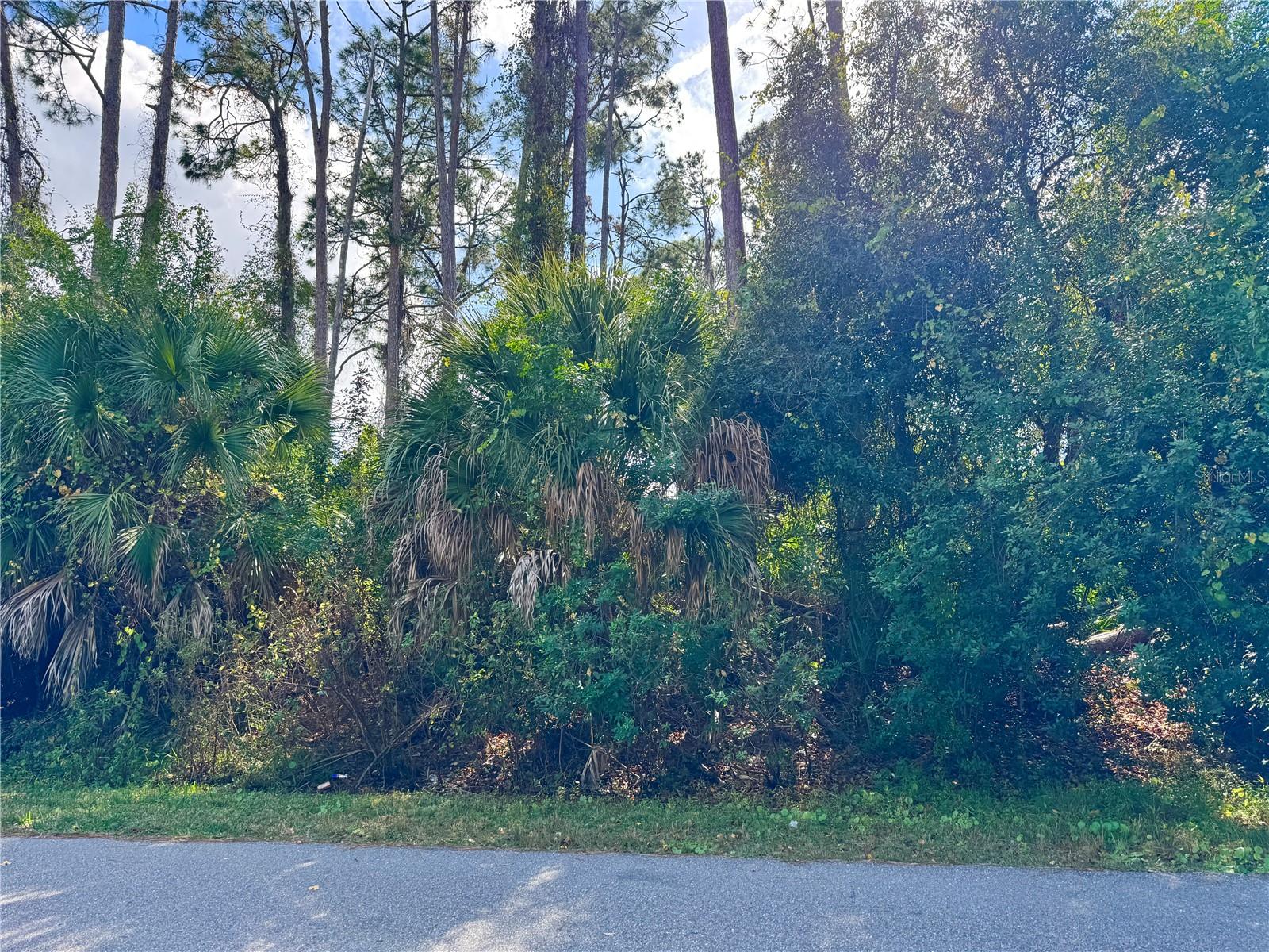 Land in NORTH PORT 3