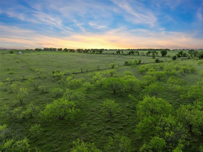View of local wilderness with a rural view | Image 5