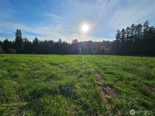 lot-19-39 lot 19 Middle Earth Ln, Elma, WA, 98541-9249 | Card Image