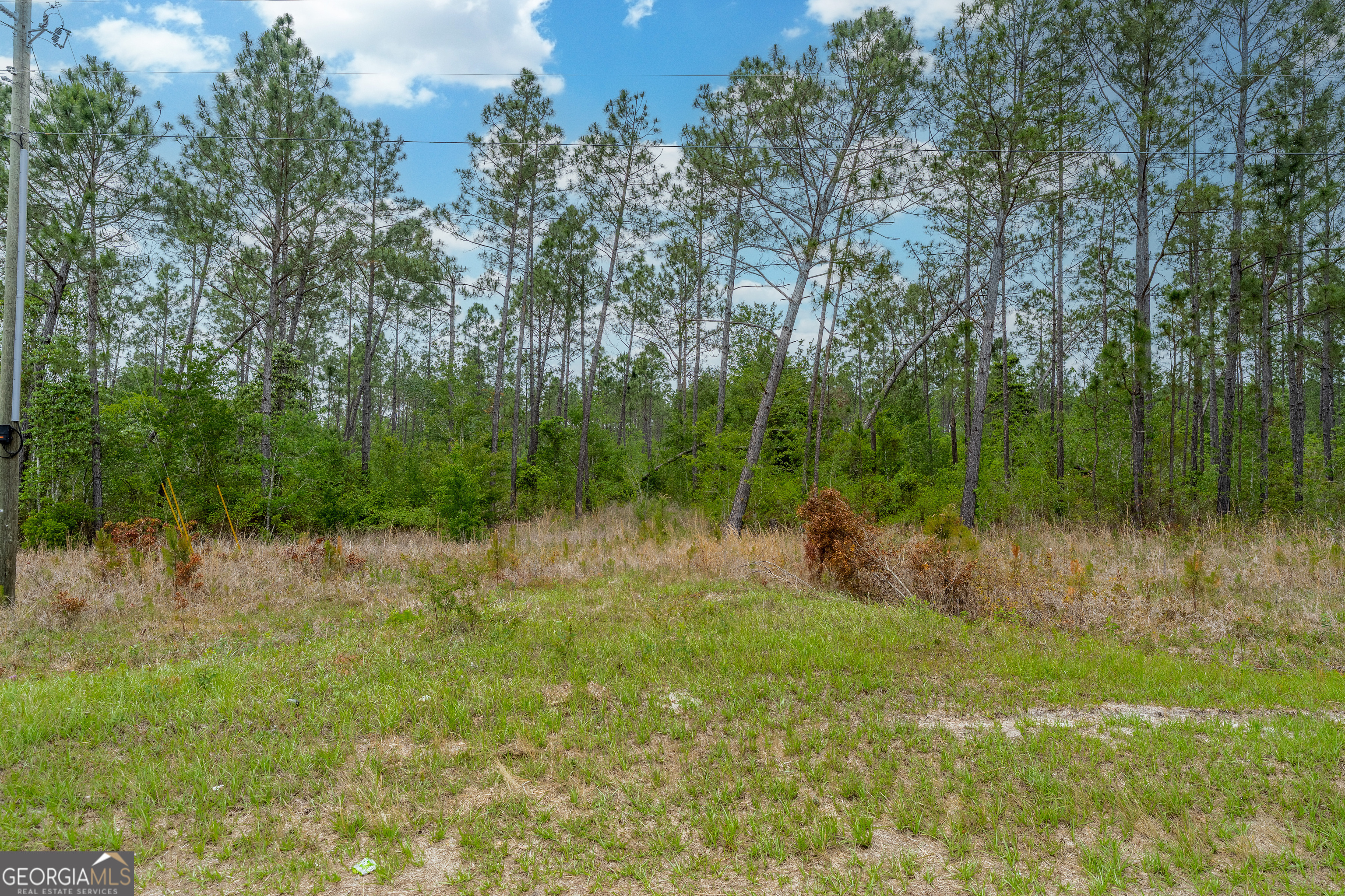 Land in Nicholls 2