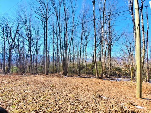 Tbd Henredon Road, Spruce Pine, NC, 28777 | Card Image